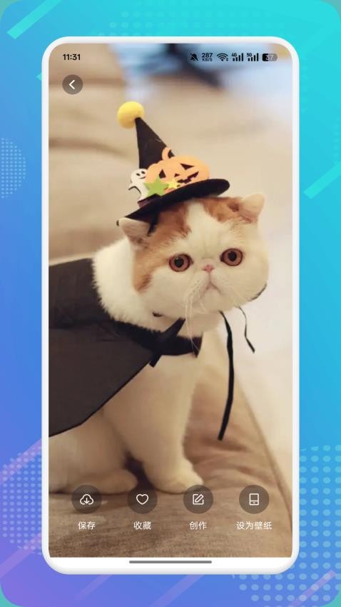 猫咪社区最新版