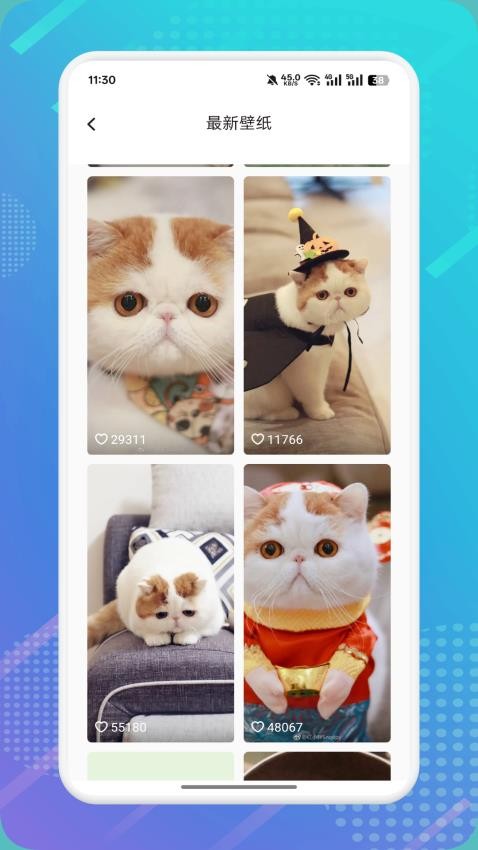 猫咪社区最新版