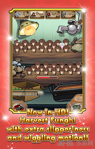 NEO菇菇栽培研究室