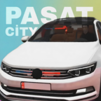 帕萨特汽车之城(Pasat City)