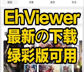 EHVIEWER彩色版