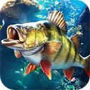 欢乐钓鱼大师最新版本