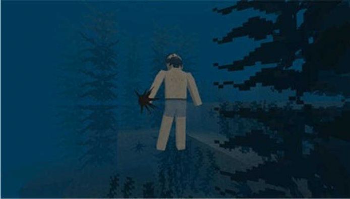 生存战争2026年联机版