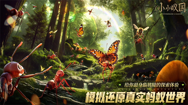 蚂蚁地下王国