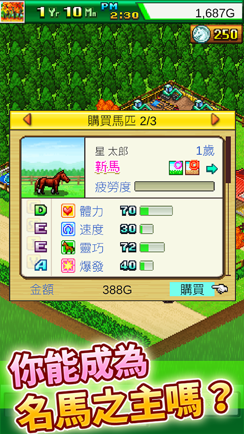 赛马牧场物语正版